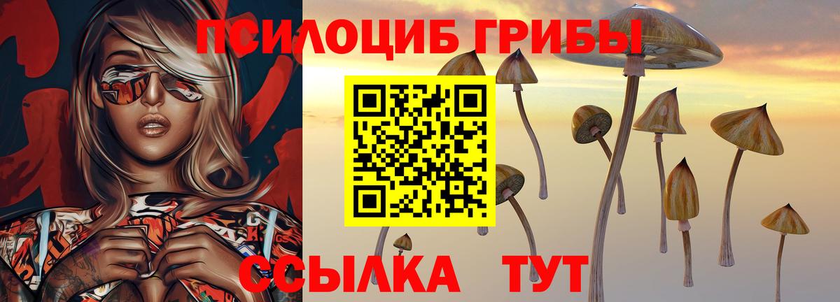 Галлюциногенные грибы Psilocybe  Псилоцибиновые грибы прущие грибы  Вход с VPN  Хасавюрт 